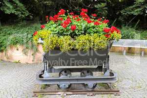creative flower bed in the trolley