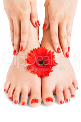 Woman with beautiful red manicured nails