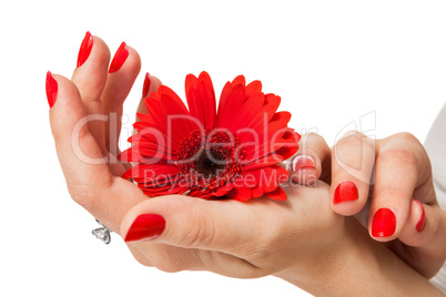 Beautiful hands of an elegant woman