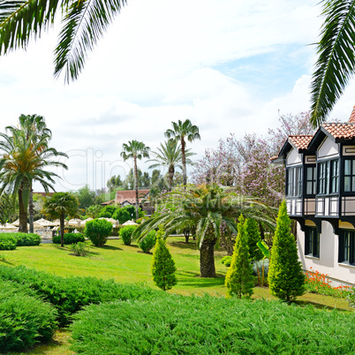 picturesque lawn in the park