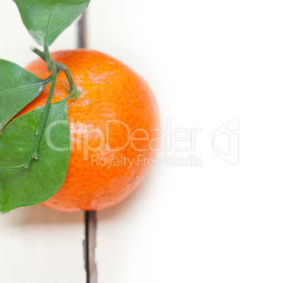 tangerine mandarin orange on white table