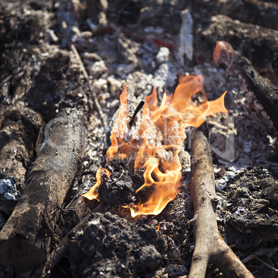 Burning bonfire close-up