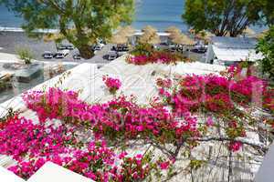 Building of hotel decorated with Bougainvillea flowers, Santorin