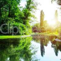 scenic lake in the summer park