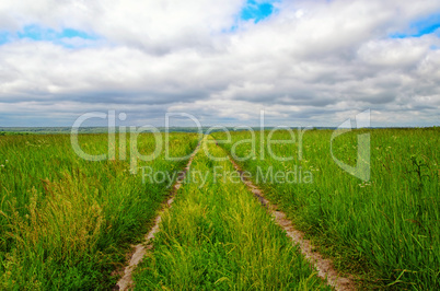 Dirt road on the green field to the horizon