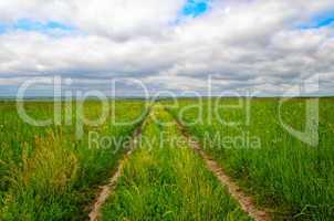 Dirt road on the green field to the horizon