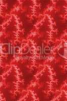 Seamless Fractal Red