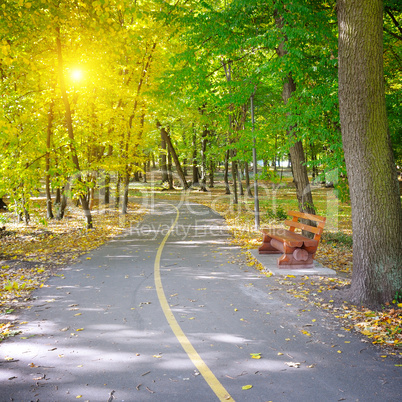 Rays of sun in autumn park