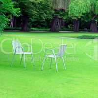 Lounge chairs for relaxing in the summer park