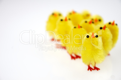 Little yellow chickens. Easter decorations.