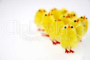 Little yellow chickens. Easter decorations.