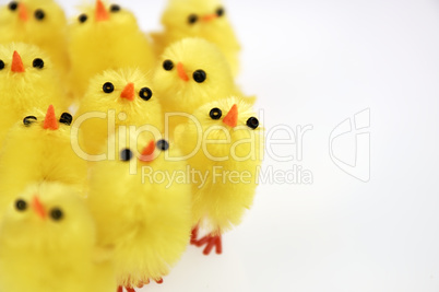 Little yellow chickens. Easter decorations.