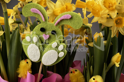 Easter bunny and yellow daffodils.