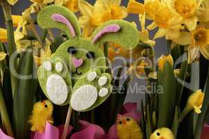 Easter bunny and yellow daffodils.