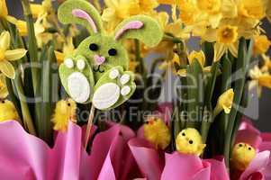 Easter bunny and yellow daffodils.