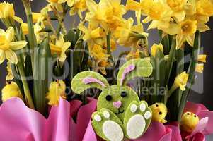 Easter bunny and yellow daffodils.