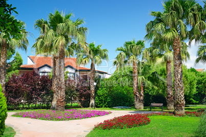 picturesque lawn in the park