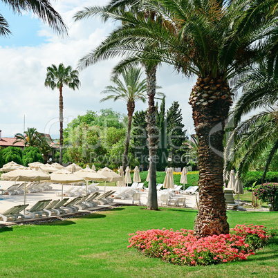 Lounge chairs for relaxing on the green lawn