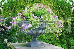 flower bed in vase