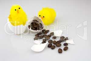 Küken in Eierschalen mit Kaffeebohnen, Überraschung aus dem Ei