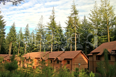 Forest Houses