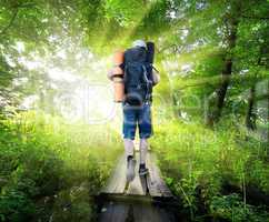 Traveller on bridge