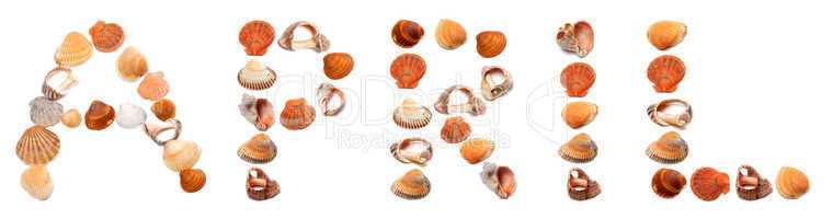 A P R I L text composed of seashells