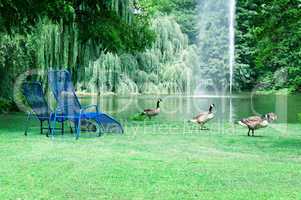 park with a picturesque lake and recreation areas
