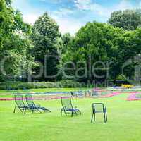 Lounge chairs for relaxing in the summer park