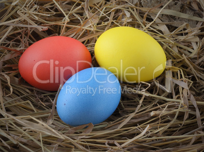 Easter eggs hay