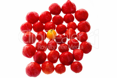 Single Kumquat In A Crowd Of Strawberry Fruits