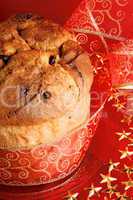 Panettone the italian Christmas cake