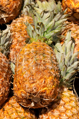 Pineapples for sale