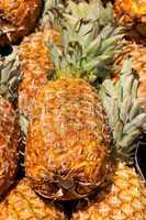 Pineapples for sale