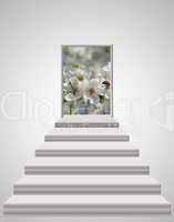 stairs leading from light room to blossoming cherry-tree