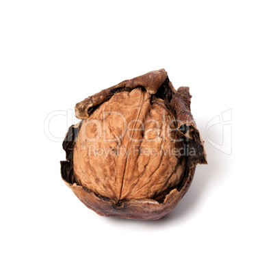 Crude walnut on white background