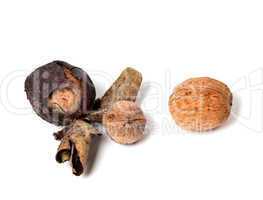 Three walnuts on white background