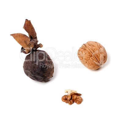 Walnuts