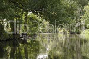 Spreewald 2