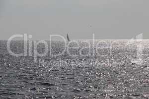 Segelboot auf dem Meer