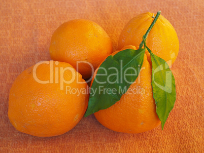 Orange fruit