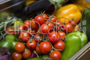 Korb mit Gemüse (Tomaten, Zwiebel, Paprika, Kräuter…)