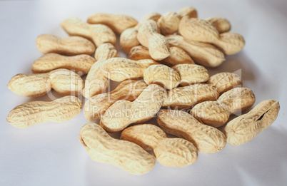 Peanuts fruit