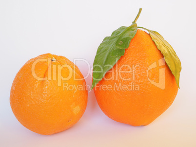 Orange fruit