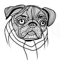 Dog pug head illustration