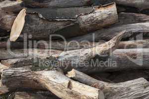 Pile of tree branch, wood stick photo