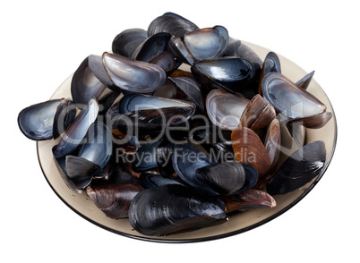 Shells of mussels on glass plate