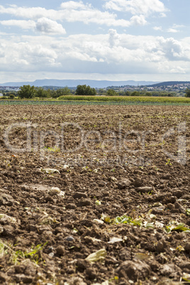 Harvested potato field with rotovated earth
