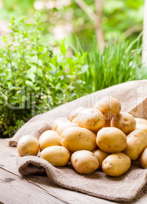 Farm fresh  potatoes on a hessian sack