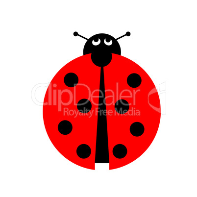 Ladybug